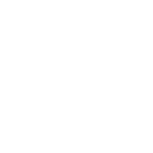 Ammo Logo