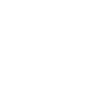 Custom Domains Icon